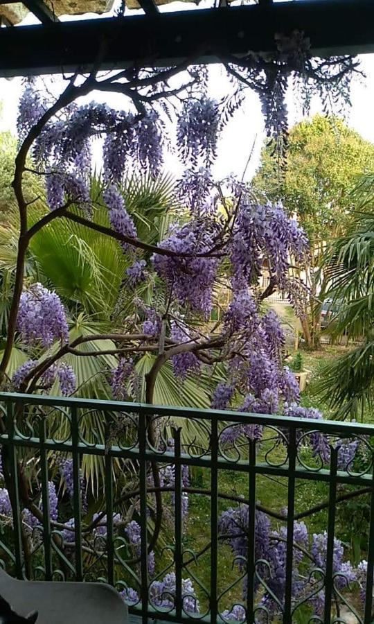 La Maison Botanique Castillon-la-Bataille Ngoại thất bức ảnh
